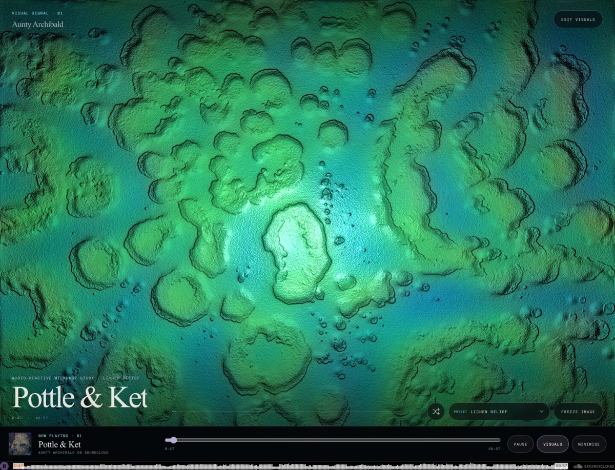 Aunty Archibald’s green and blue audio-reactive visualiser with its persistent music player.